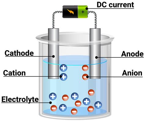 electrolysis uses electric current to damage the: Electrolysis can also be used to enhance the growth of certain plants in hydroponic systems.